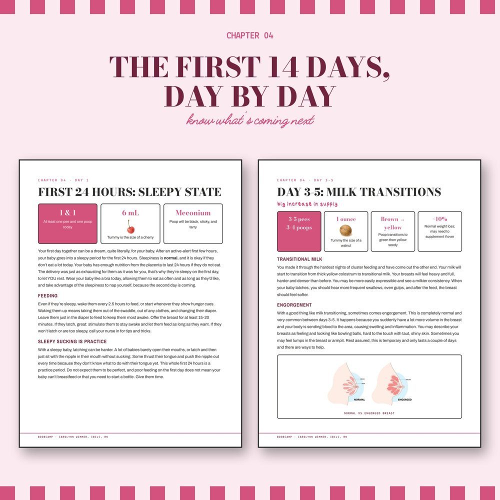 The first 14 days, day by day